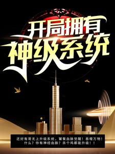 ����ӵ����ϵͳ